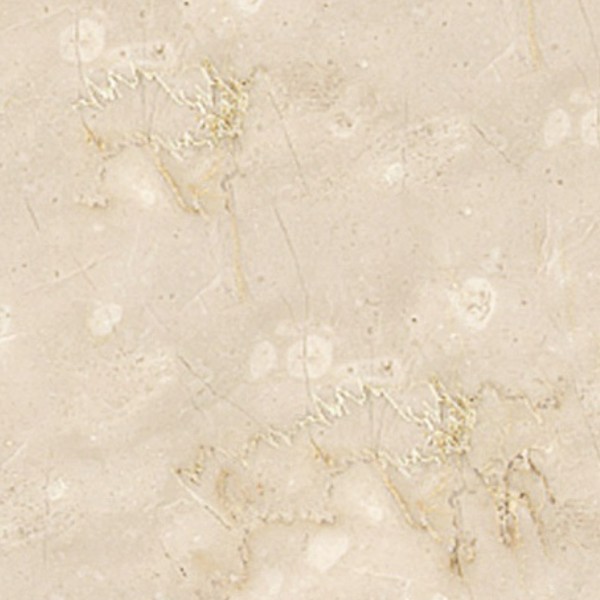 Textures   -   ARCHITECTURE   -   MARBLE SLABS   -   Cream  - Slab marble botticino texture seamless 02043 - HR Full resolution preview demo