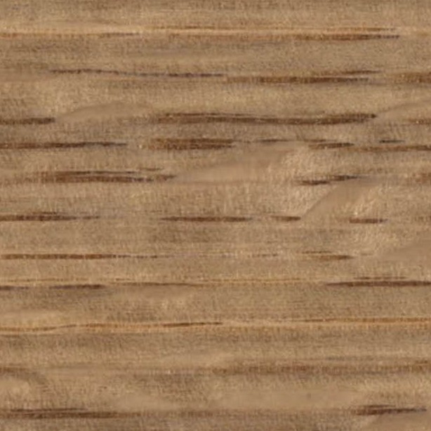 Textures   -   ARCHITECTURE   -   WOOD   -   Fine wood   -   Medium wood  - American white oak raw wood fine medium color texture seamless 04472 - HR Full resolution preview demo