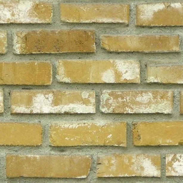 Textures   -   ARCHITECTURE   -   BRICKS   -   Dirty Bricks  - Dirty bricks texture seamless 00150 - HR Full resolution preview demo
