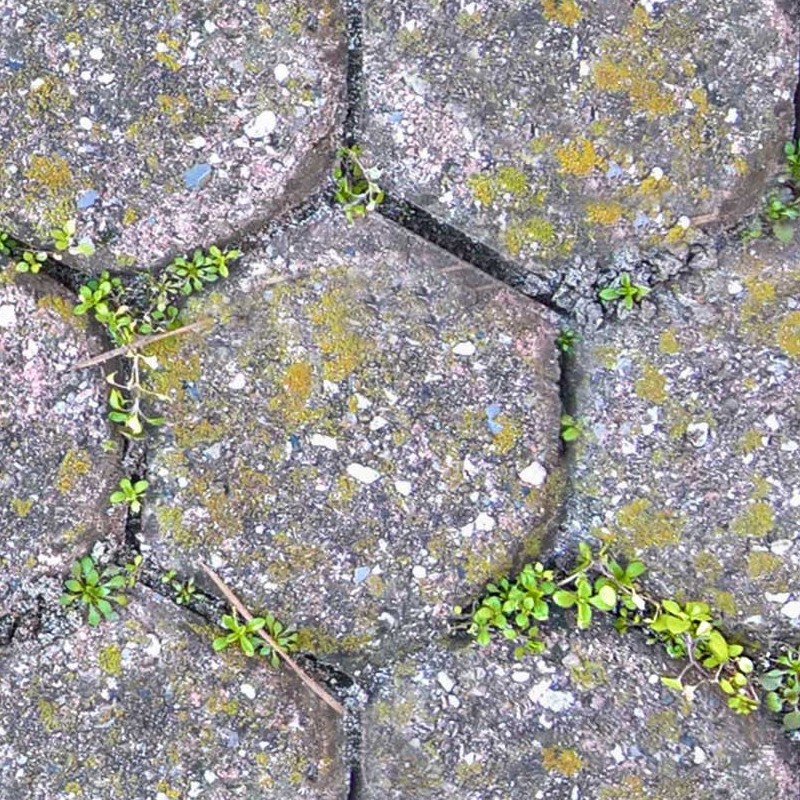 Textures   -   ARCHITECTURE   -   PAVING OUTDOOR   -   Concrete   -   Blocks damaged  - Concrete paving outdoor damaged texture seamless 20475 - HR Full resolution preview demo