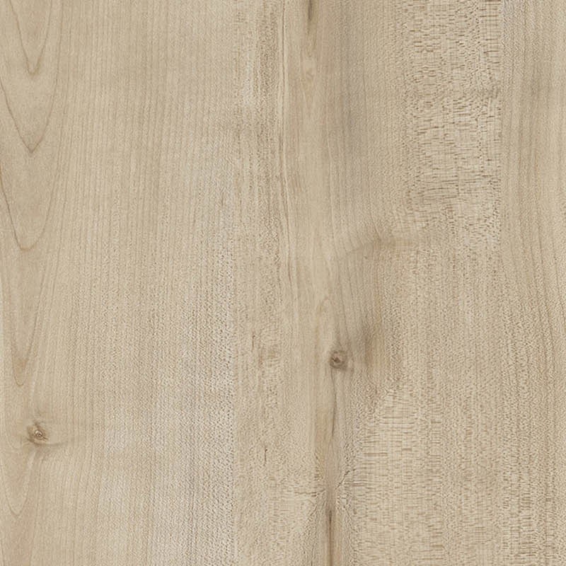 Textures   -   ARCHITECTURE   -   WOOD   -   Fine wood   -   Nordic Woods  - Oulanka birch wood pbr texture seamless 22510 - HR Full resolution preview demo