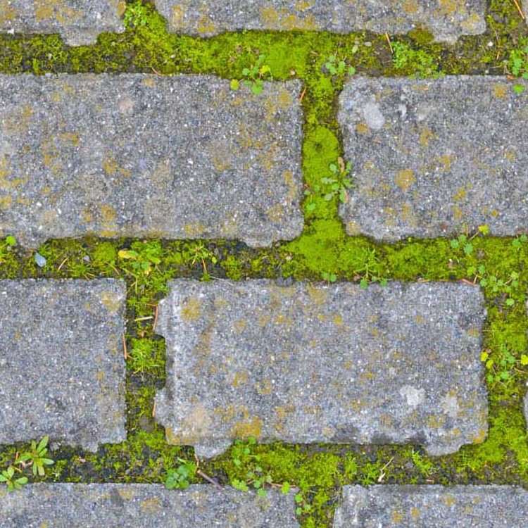 Textures   -   ARCHITECTURE   -   PAVING OUTDOOR   -   Parks Paving  - stone park paving PBR texture seamless 21511 - HR Full resolution preview demo