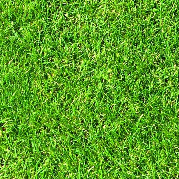Textures   -   NATURE ELEMENTS   -   VEGETATION   -   Green grass  - Artificial green grass texture seamless 13063 - HR Full resolution preview demo