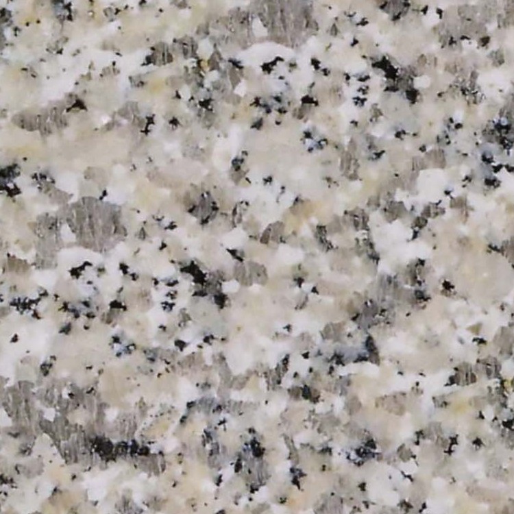 Textures   -   ARCHITECTURE   -   MARBLE SLABS   -   Granite  - Slab white Sardinia granite texture seamless 02215 - HR Full resolution preview demo