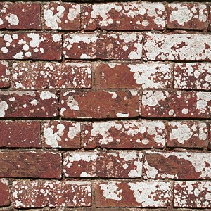 Textures   -   ARCHITECTURE   -  BRICKS - Dirty Bricks