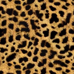 Textures   -  MATERIALS - FUR ANIMAL