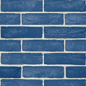 Textures   -   ARCHITECTURE   -  BRICKS - Colored Bricks