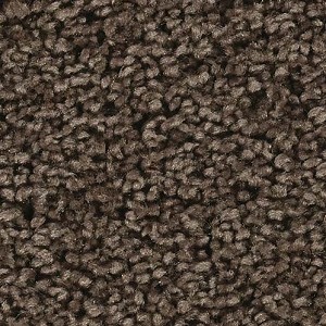 Textures   -   MATERIALS   -  CARPETING - Brown tones