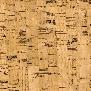 Textures   -   ARCHITECTURE   -  WOOD - Cork