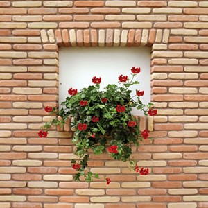 Textures   -   ARCHITECTURE   -  BRICKS - Facing Bricks