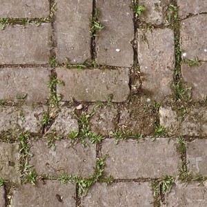 Textures   -   ARCHITECTURE   -   PAVING OUTDOOR   -  Concrete - Blocks damaged