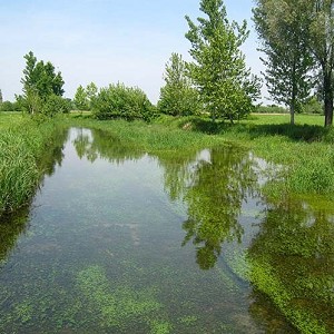 Textures   -   BACKGROUNDS &amp; LANDSCAPES   -  NATURE - Rivers & streams