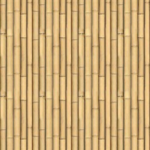Textures   -  NATURE ELEMENTS - BAMBOO