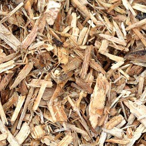 Textures   -   ARCHITECTURE   -  WOOD - Wood Chips - Mulch