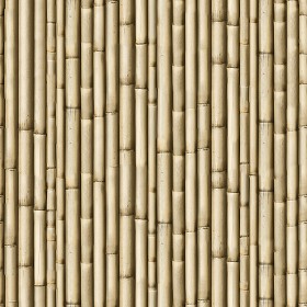 Textures   -   NATURE ELEMENTS   -   BAMBOO  - Bamboo texture seamless 12266 (seamless)