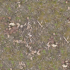 Textures   -   NATURE ELEMENTS   -   SOIL   -  Ground - Ground texture seamless 12810