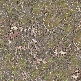 Textures   -   NATURE ELEMENTS   -   SOIL   -   Ground  - Ground texture seamless 12810 (seamless)