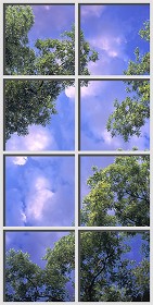 Textures   -   ARCHITECTURE   -   BUILDINGS   -   Windows   -  special windows - Special window texture 01125