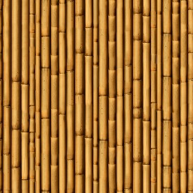 Textures   -   NATURE ELEMENTS   -  BAMBOO - Bamboo texture seamless 12267