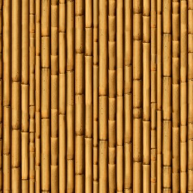 Textures   -   NATURE ELEMENTS   -   BAMBOO  - Bamboo texture seamless 12267 (seamless)