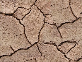Textures   -   NATURE ELEMENTS   -   SOIL   -  Mud - Cracked dried mud texture seamless 12872