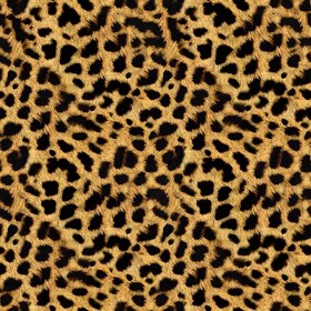 Textures   -   MATERIALS   -  FUR ANIMAL - Ghepardo faux fake fur animal texture seamless 09552
