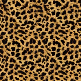 Ghepardo faux fake fur animal texture seamless 09552