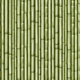 Textures   -   NATURE ELEMENTS   -  BAMBOO - Bamboo texture seamless 12268
