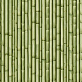 Textures   -   NATURE ELEMENTS   -   BAMBOO  - Bamboo texture seamless 12268 (seamless)