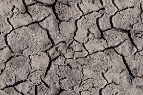 Textures   -   NATURE ELEMENTS   -   SOIL   -  Mud - Cracked dried mud texture seamless 12873