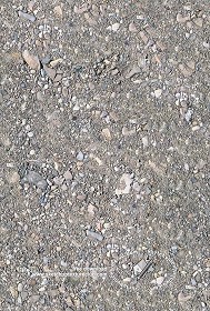 Textures   -   ARCHITECTURE   -   ROADS   -   Dirt Roads  - Dirt road with stones texture seamless 20456 (seamless)