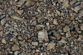Textures   -   NATURE ELEMENTS   -   SOIL   -  Ground - Ground texture seamless 12812