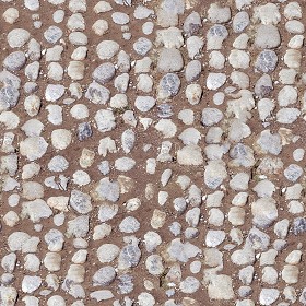 Textures   -   ARCHITECTURE   -   ROADS   -   Paving streets   -   Rounded cobble  - Rounded cobblestone texture seamless 07485 (seamless)