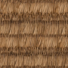Textures   -   ARCHITECTURE   -   ROOFINGS   -  Thatched roofs - Thatched roof texture seamless 04039