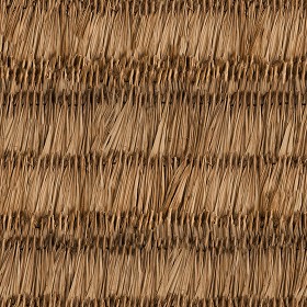 Textures   -   ARCHITECTURE   -   ROOFINGS   -   Thatched roofs  - Thatched roof texture seamless 04039 (seamless)