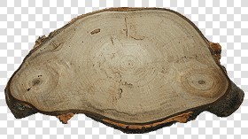 Textures   -   ARCHITECTURE   -   WOOD   -   Wood logs  - Wood logs texture 17395
