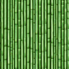 Textures   -   NATURE ELEMENTS   -  BAMBOO - Bamboo texture seamless 12269