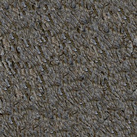 Textures   -   NATURE ELEMENTS   -  BARK - Bark texture seamless 12310