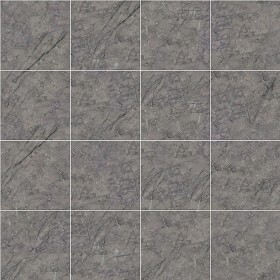Textures   -   ARCHITECTURE   -   TILES INTERIOR   -   Marble tiles   -  Grey - Carnico grey marble floor tile texture seamless 14459