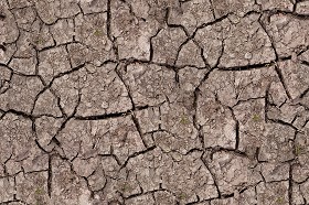 Textures   -   NATURE ELEMENTS   -   SOIL   -  Mud - Cracked dried mud texture seamless 12874