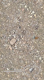 Textures   -   ARCHITECTURE   -   ROADS   -  Dirt Roads - Dirt road with stones texture seamless 20457