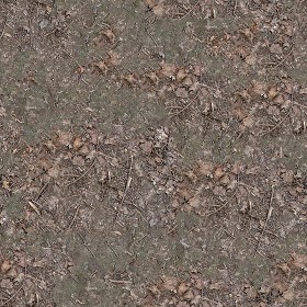 Textures   -   NATURE ELEMENTS   -   SOIL   -  Ground - Ground texture seamless 12813