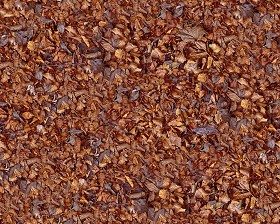Textures   -   NATURE ELEMENTS   -   VEGETATION   -   Leaves dead  - Leaves dead texture seamless 13119 (seamless)