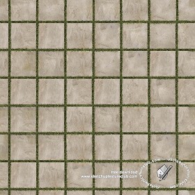 Textures   -   ARCHITECTURE   -   PAVING OUTDOOR   -   Parks Paving  - Park concrete paving texture seamless 18664 (seamless)