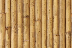 Textures   -   NATURE ELEMENTS   -   BAMBOO  - Bamboo texture seamless 12270 (seamless)