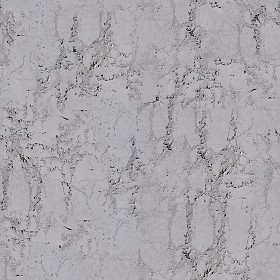 Textures   -   ARCHITECTURE   -   CONCRETE   -   Bare   -  Damaged walls - Concrete bare damaged texture seamless 01364