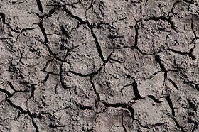 Textures   -   NATURE ELEMENTS   -   SOIL   -  Mud - Cracked dried mud texture seamless 12875