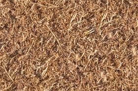 Textures   -   NATURE ELEMENTS   -   VEGETATION   -  Dry grass - Dry grass texture seamless 12917