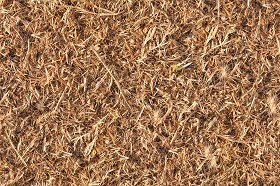 Textures   -   NATURE ELEMENTS   -   VEGETATION   -   Dry grass  - Dry grass texture seamless 12917 (seamless)