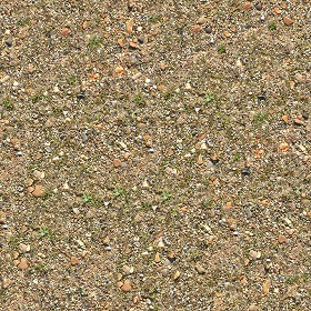 Textures   -   NATURE ELEMENTS   -   SOIL   -  Ground - Ground texture seamless 12814